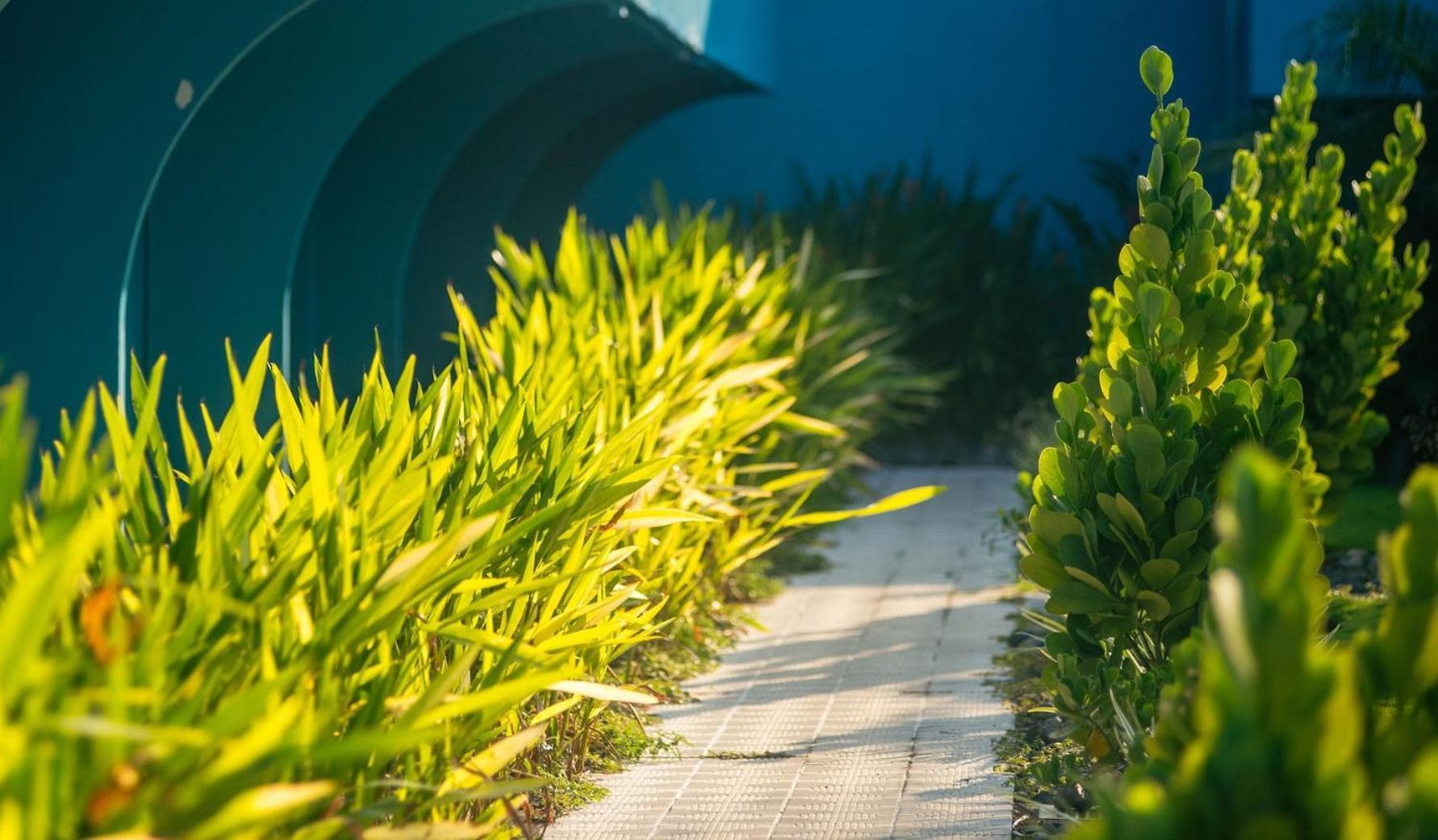 Beach Break Resort Jacó Εξωτερικό φωτογραφία